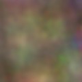 For Overlay 105